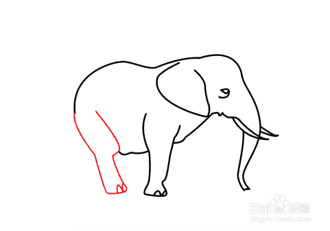 大象脚掌简笔画图片