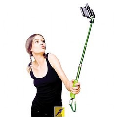 如何调控自己的情绪？