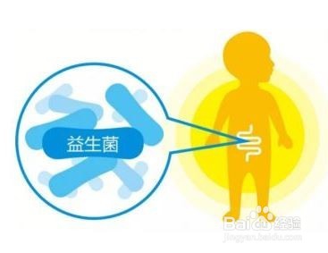 宝宝是否需要补充益生菌呢？