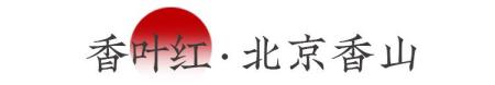 中国秋色最美5个地方，一生至少去一次