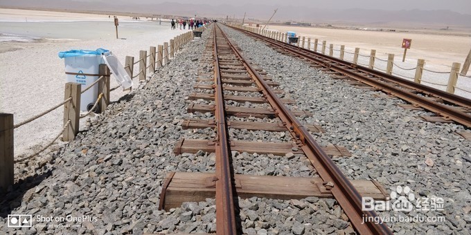 青海湖租摩托车骑行青海湖-青海湖,梦幻般的湖