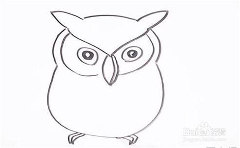 伴儿成长简笔画系列-怎样画猫头鹰简笔画