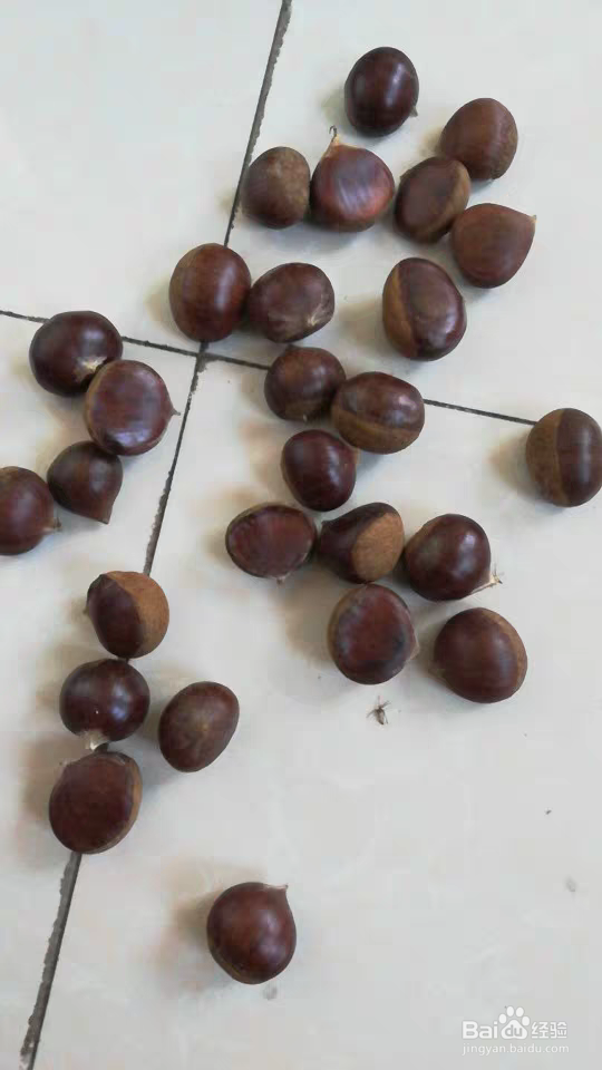 板栗保鲜方法