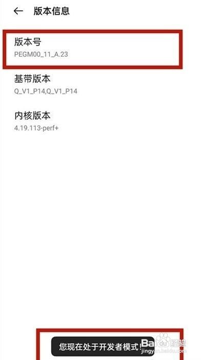 一加9r开发者模式在哪里