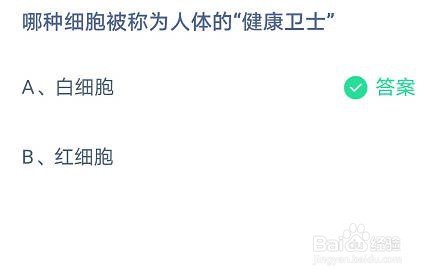 蚂蚁庄园哪种细胞被称为人体的“健康卫士”