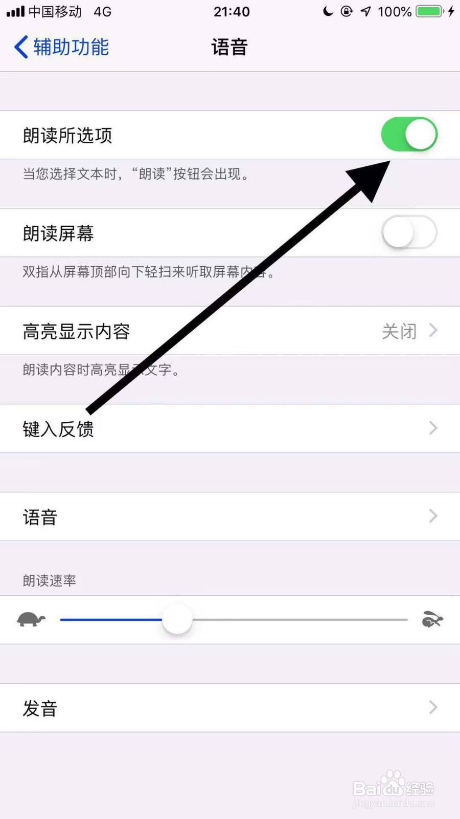 苹果11手机如何开启朗读所选项功能