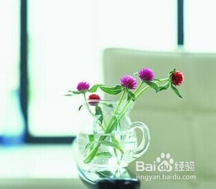 白细胞减少如何做预防与调理 