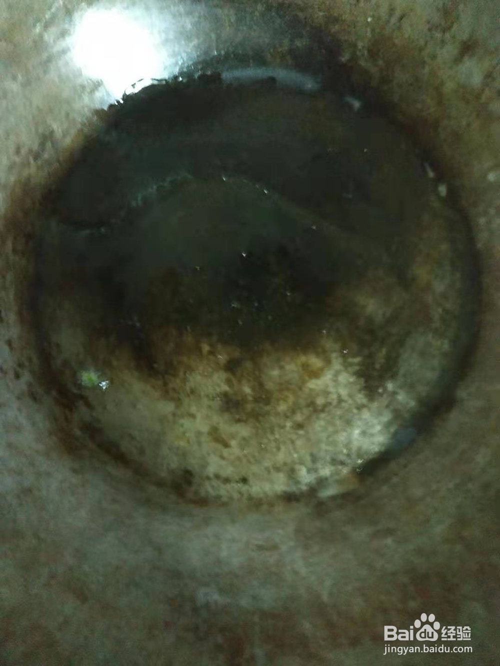 快手菜——青椒番茄炒鸡蛋