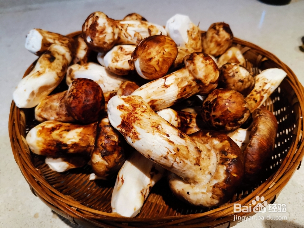 满嘴留香鲜松茸土鸡汤