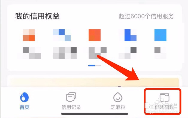 支付宝如何查看芝麻证的互查记录