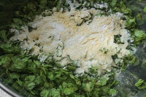 怎么做美味的榆钱饭