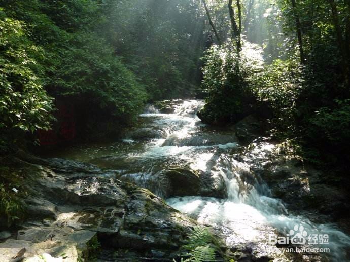 古东纵情山水，带你畅玩夏！伴漓桂林旅游攻略
