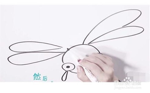 伴儿成长简笔画系列-怎样画蜻蜓简笔画