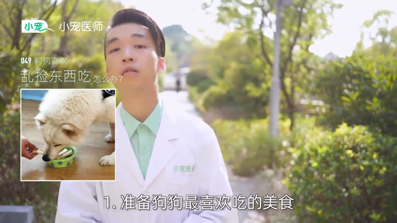 狗狗乱捡东西吃怎么办