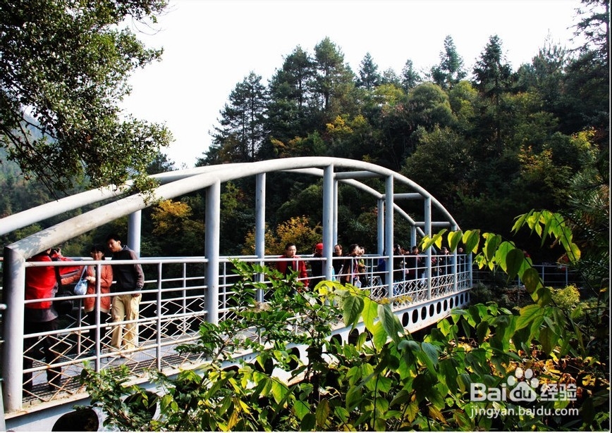 梧州到张家界自驾游