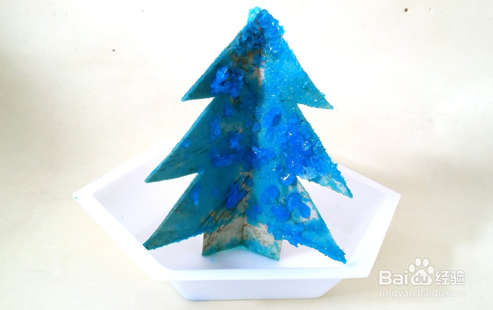 儿童化学小实验 硫酸铜结晶体圣诞树