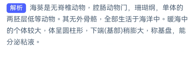 神奇海洋:猜一猜海葵是动物还是植物