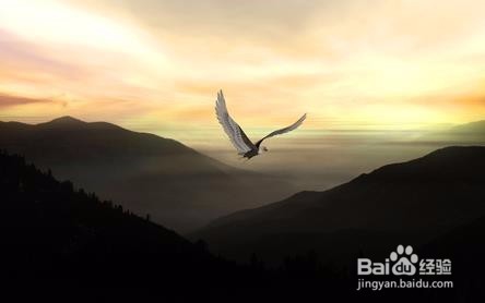 大学毕业后可能会面临的问题