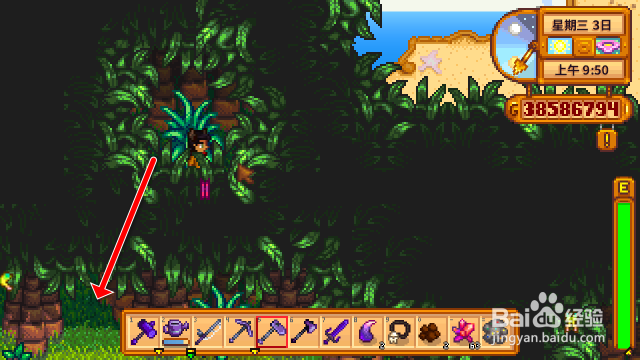 星露谷物语火山矿洞旁的核桃怎么拿