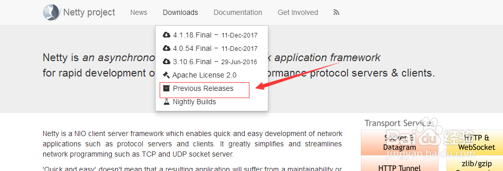 netty官网下载教程