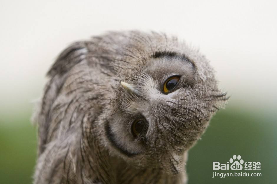 怎么正确的处理购买欲