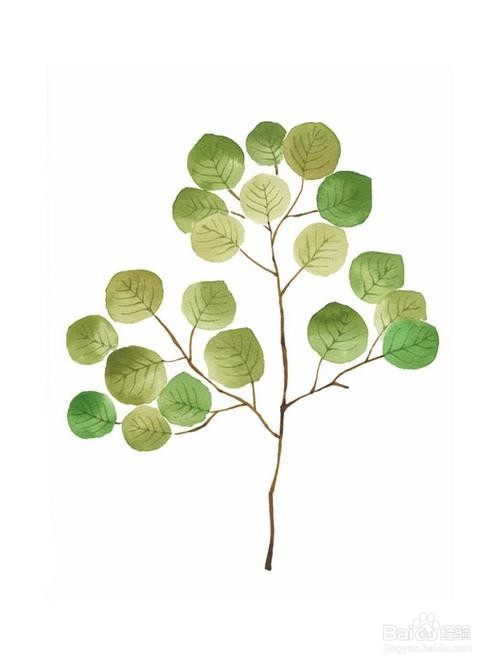 实物资产清查方法