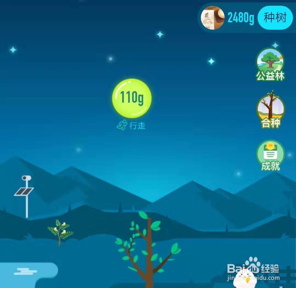 支付宝蚂蚁森林中的时光加速器和如何用