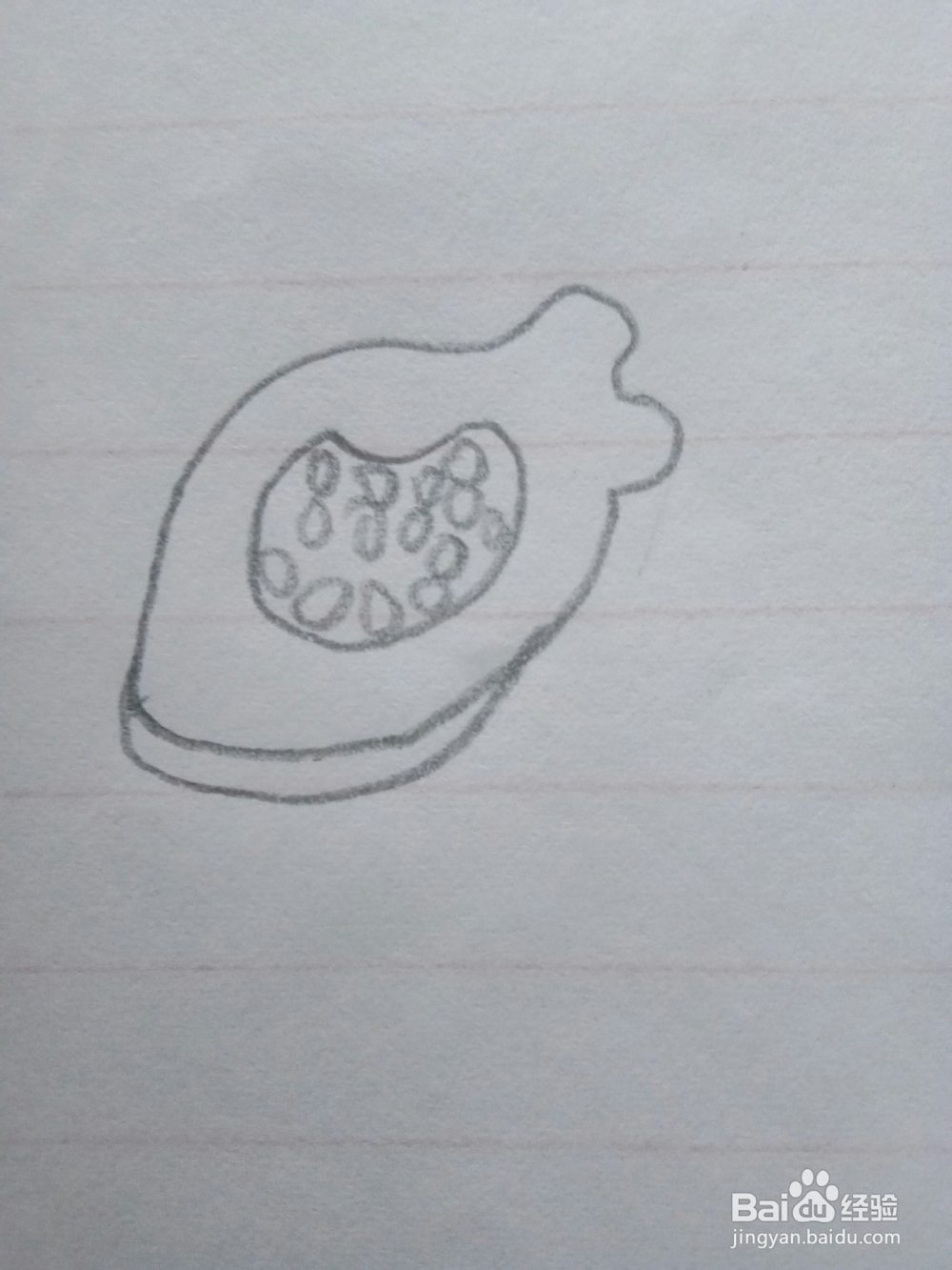 简笔画木瓜的画法1