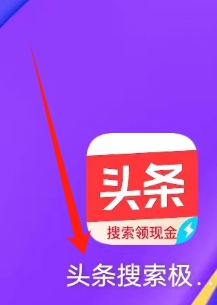 头条搜索极速版查看政法页面的方法？