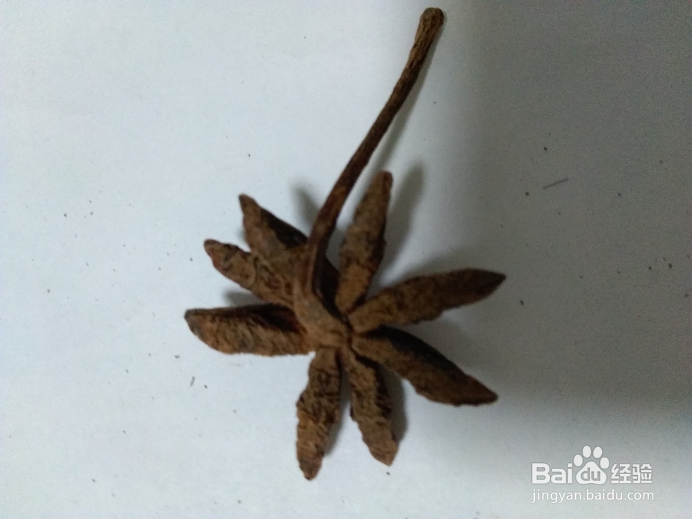 我都买这种形状的大料粒