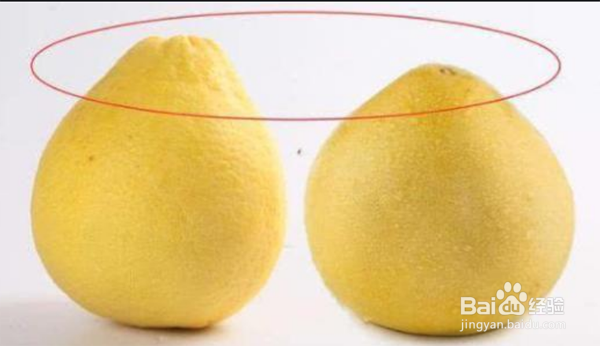 怎么挑到水分足的甜的柚子