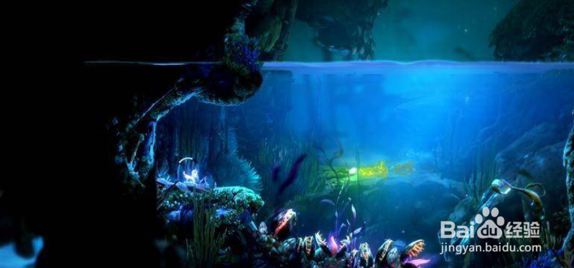 奥日与鬼火意志光之池怎么过去？