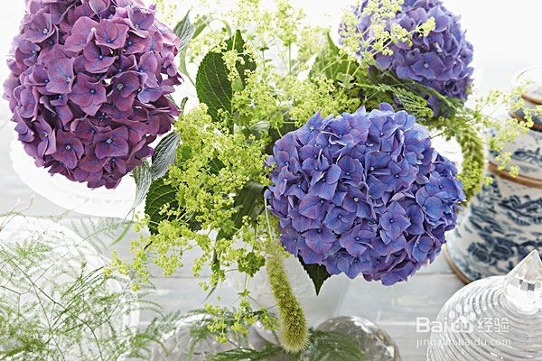 切花的延衰保鲜方法