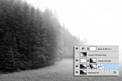 Photoshop给树林图片加上淡灰色迷雾
