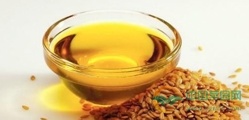 怎样去除菜籽油异味?