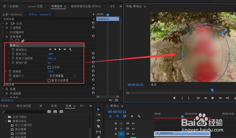 怎样制作视频的局部模糊效果