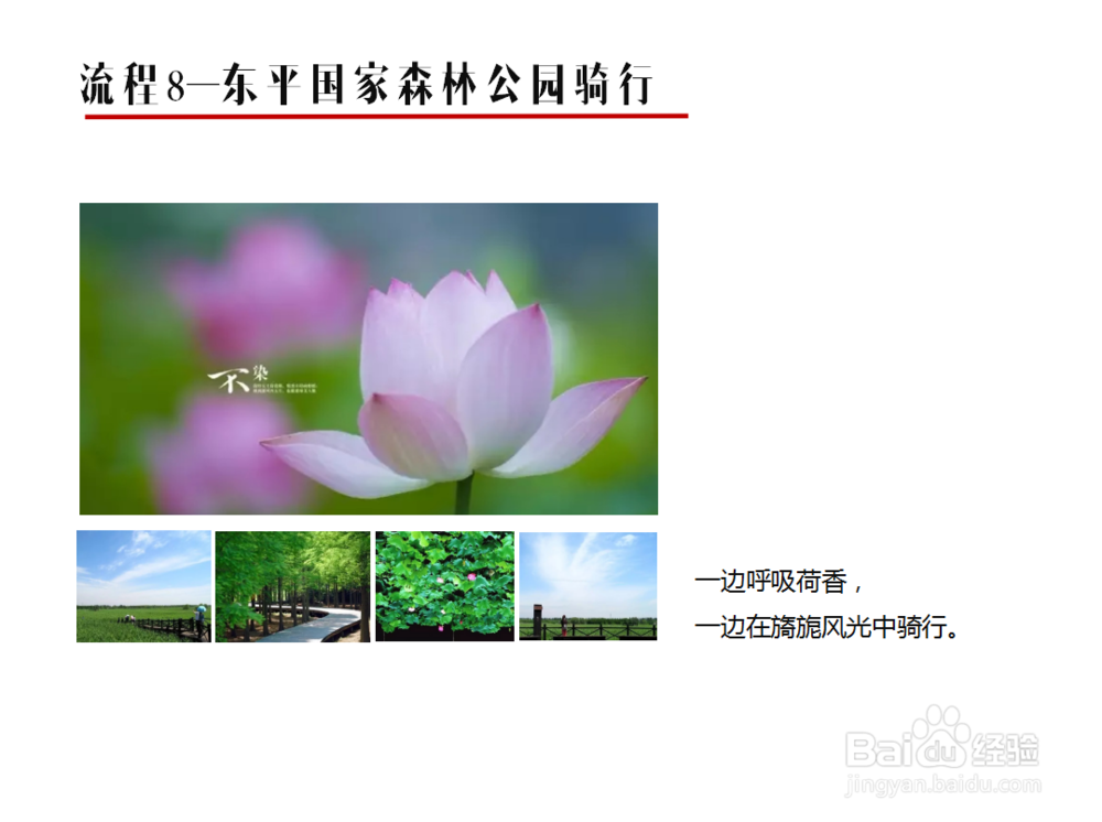 活动策划案具体策划方案