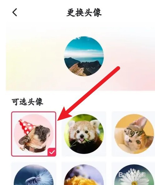 今视频APP头像如何更换