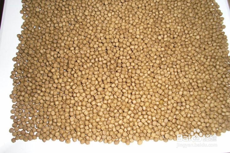 如何自己制作虾类饲料