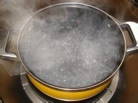 食材七道处理方法：[6]焯水