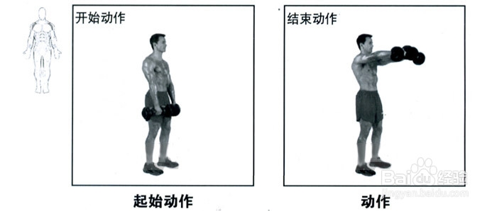 怎样锻炼胸肌?