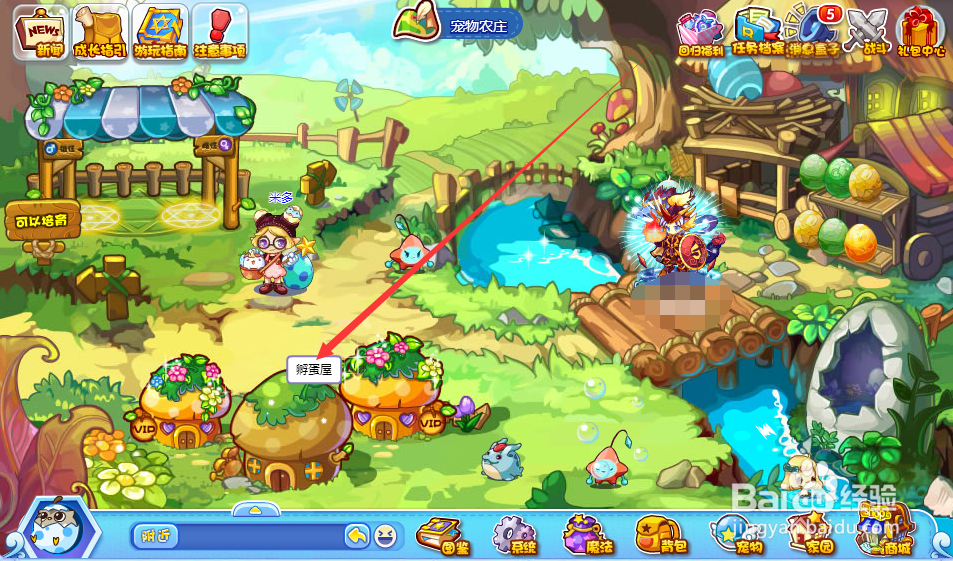 洛克王国怎么孵化宠物蛋