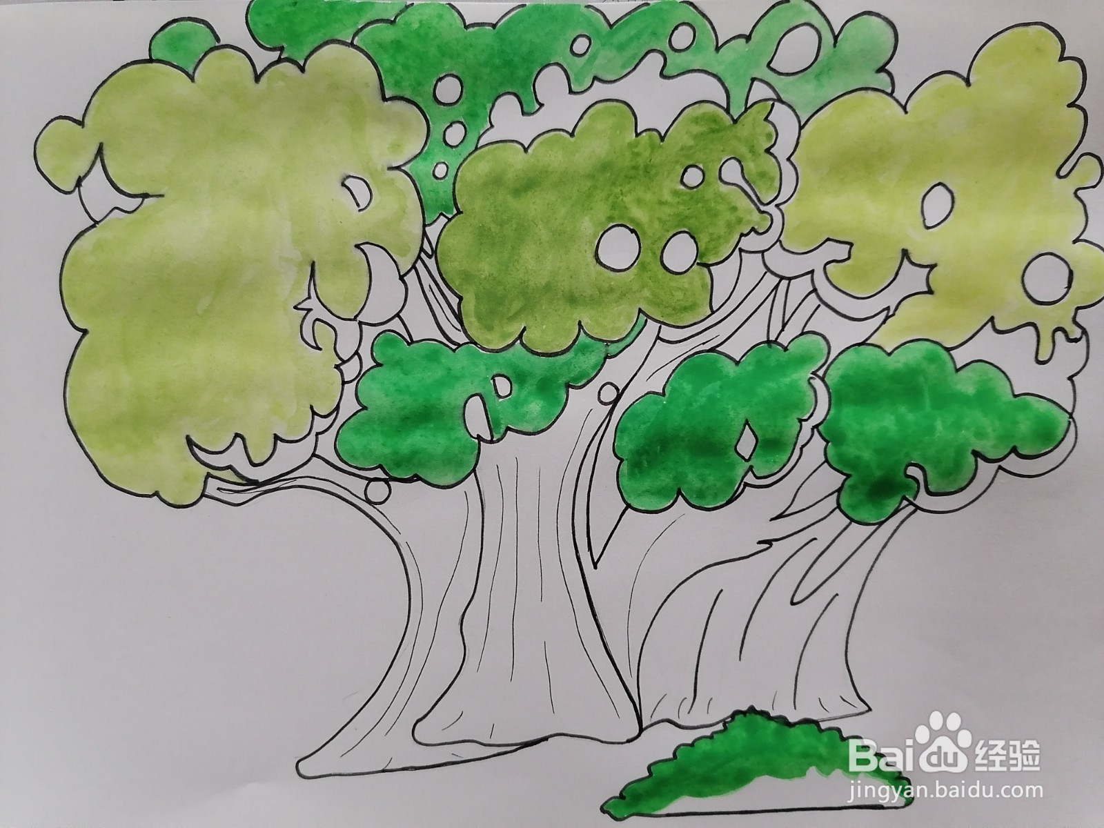 老榕树用水彩怎么画