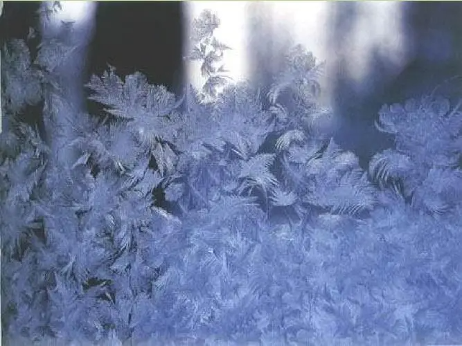 升华是物理还是化学