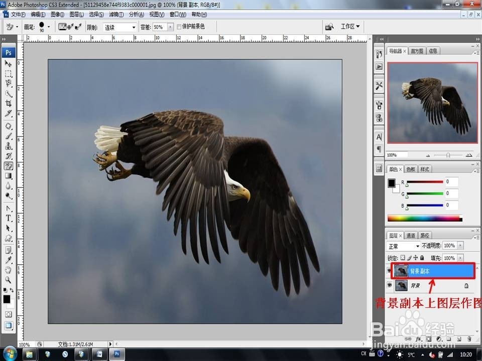 Photoshop CS3抠图技巧：[1]“魔法橡皮擦”
