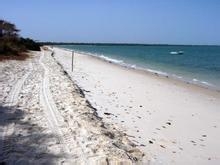 如何移民几内亚比绍、几内亚比绍移民如何办理