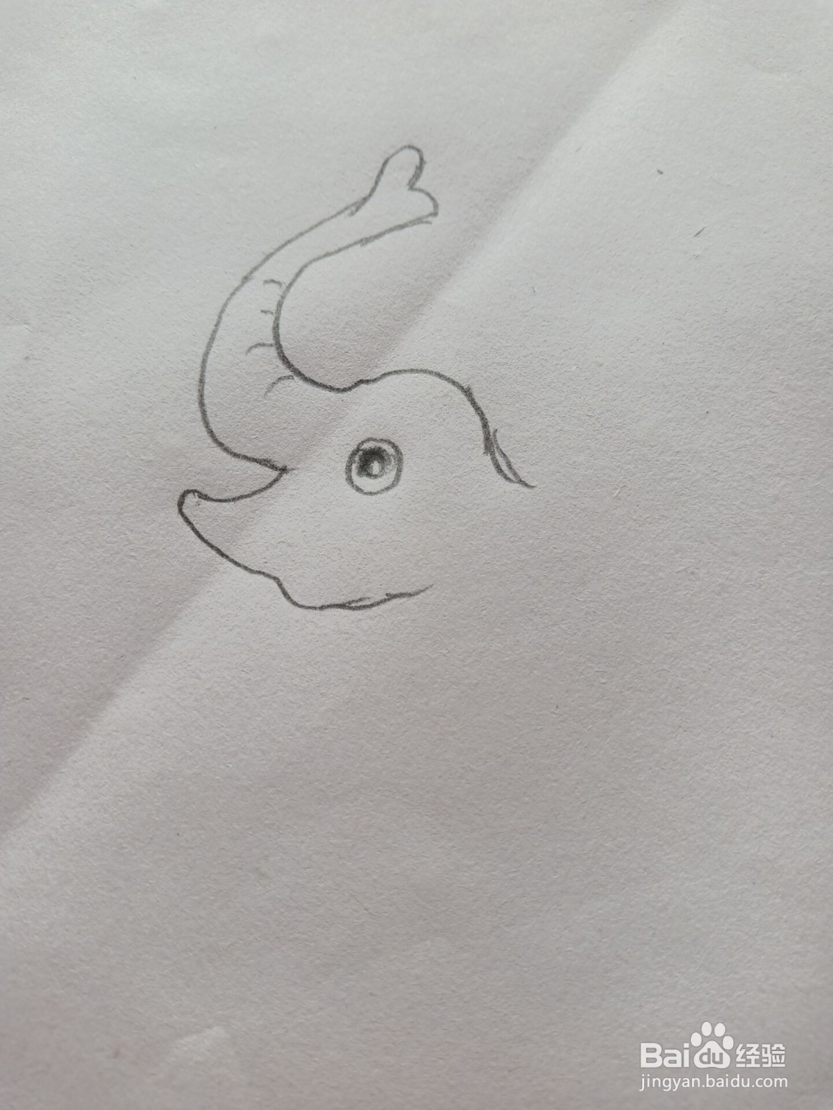 大象的简笔画