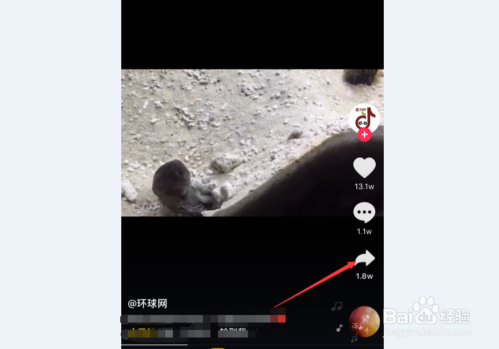 iPhone手机 抖音如何下载无水印的视频短视频