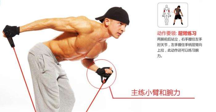 怎样快速提高臂力