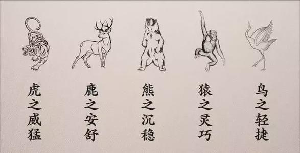 五禽戏五禽各对应什么内脏?、